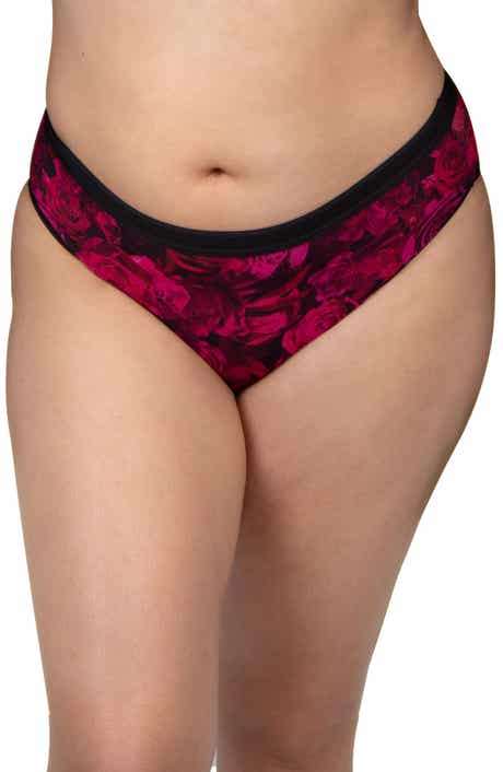 Sheer Mesh High Cut Briefs