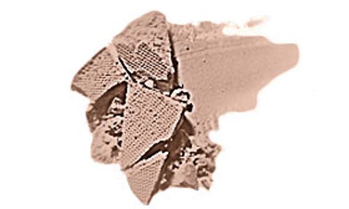 Imagen de producto 5