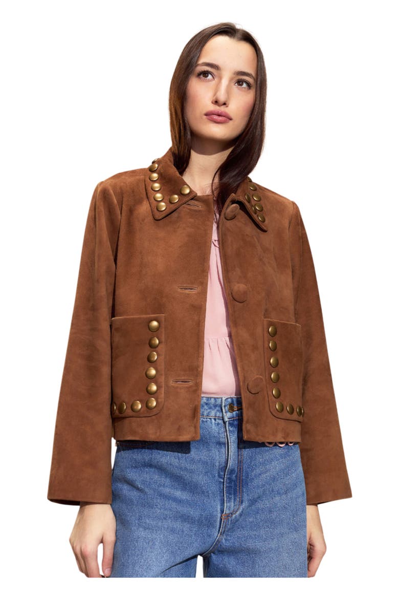 Studded Suede Cropped Jacket, Main, color, Brown