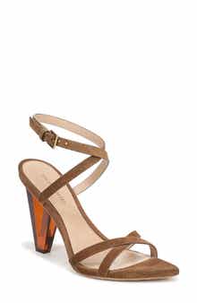 Lanaya Ankle Strap Pointed Toe Sandal