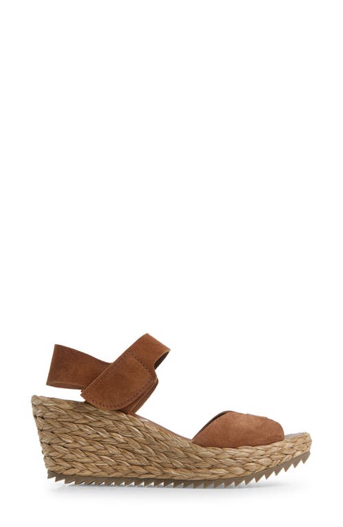 Shop Pedro Garcia Fama Ankle Strap Wedge Sandal In Hazelnut Castoro
