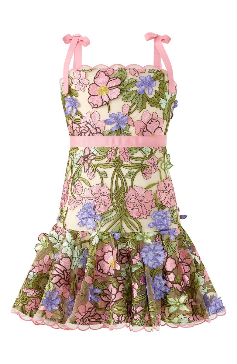 Marlo Kids Bonnie Embroidered Mini Dress, Main, color, Floral