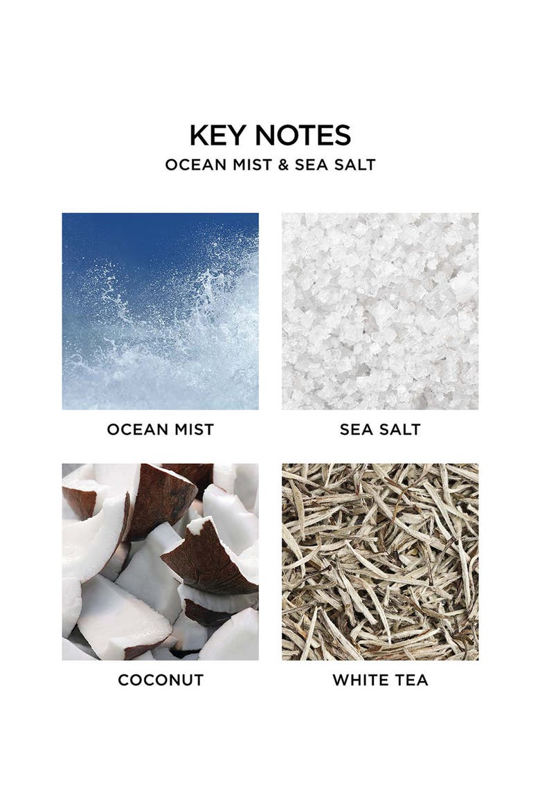 Ocean Mist & Sea Salt Scented Candle, Alternate, color, NO COLORDNU