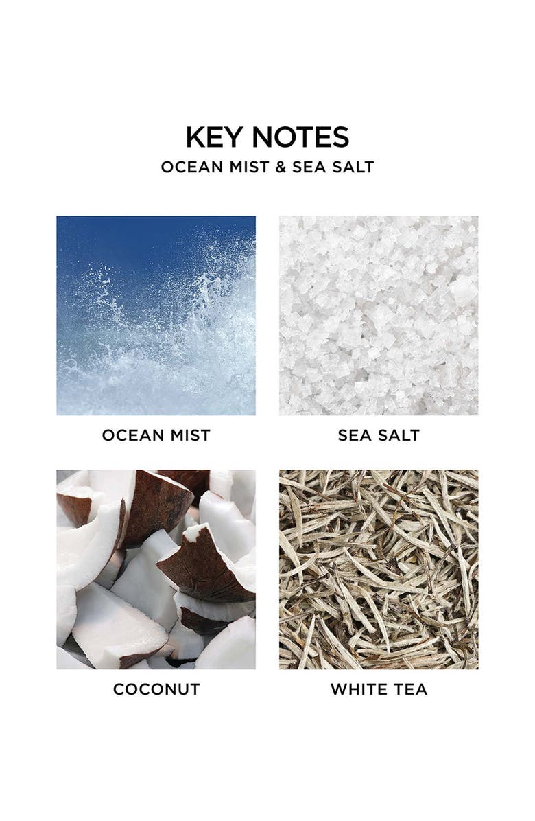 NEST New York Ocean Mist & Sea Salt Scented Candle, Alternate, color,