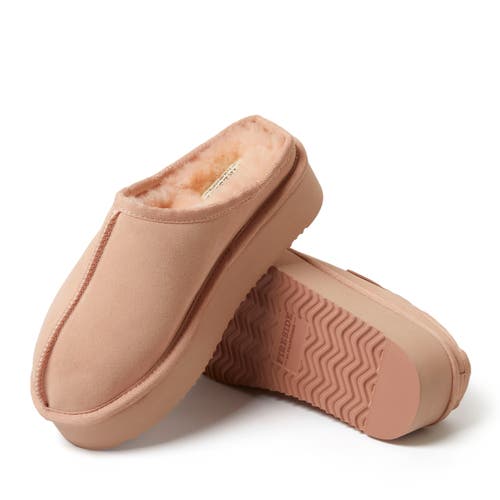 Dearfoams Fireside Queenstown Genuine Shearling Platform Clog Slipper In Peach Dust