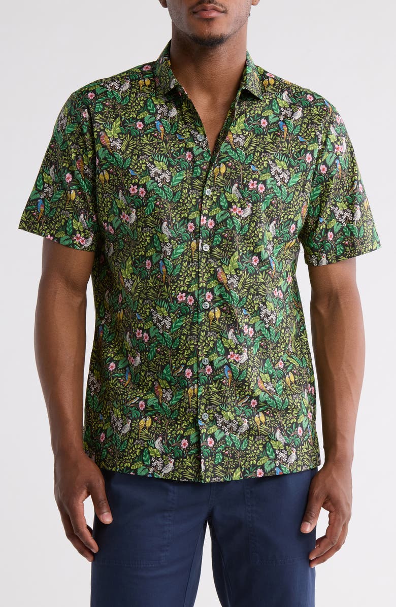 Tori Richard Of a Feather Cotton Polo, Main, color, 