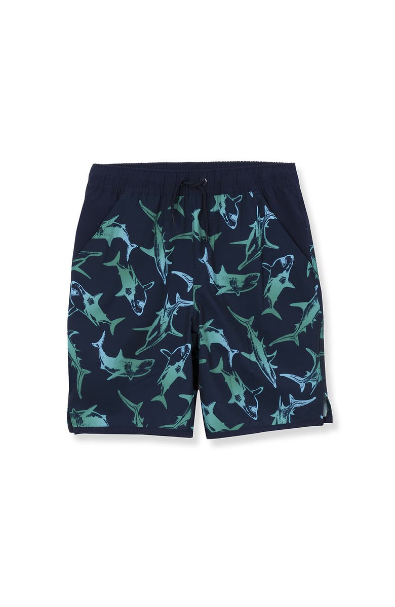 Lands' End Boys Slim Stretch Hydroliner Swim Trunks, Main, color, 