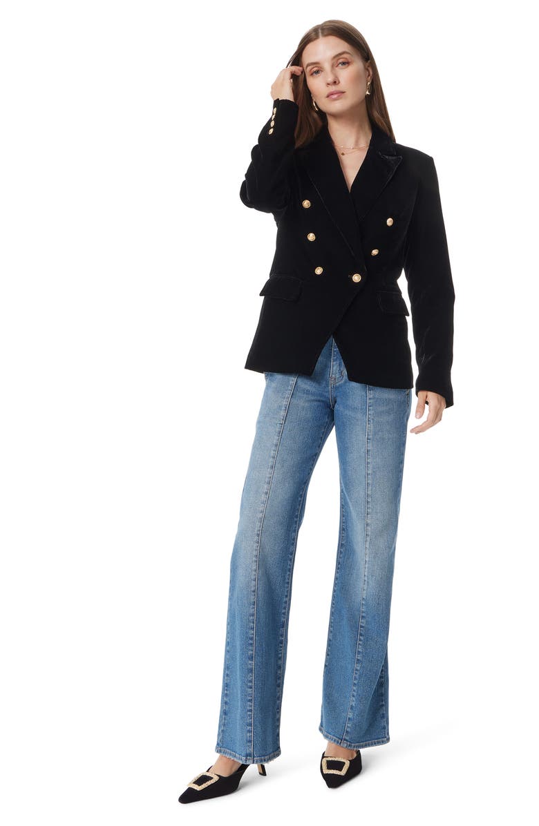 Sam Edelman Imogen Double Breasted Velvet Blazer, Alternate, color, 