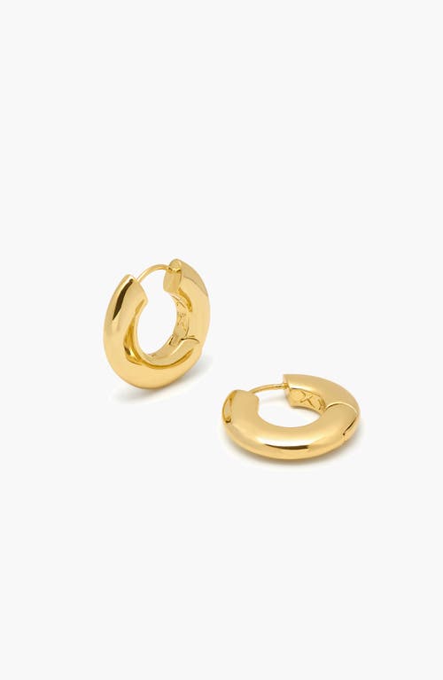 YOJ Sirso Midi Chubby Hoop Earrings in Gold at Nordstrom