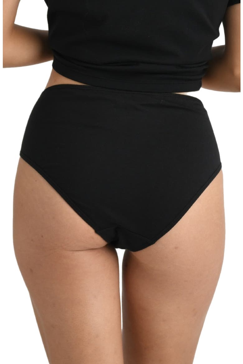 2-Pack Compostable Organic Cotton High Waist Briefs, Alternate, color, BLACK