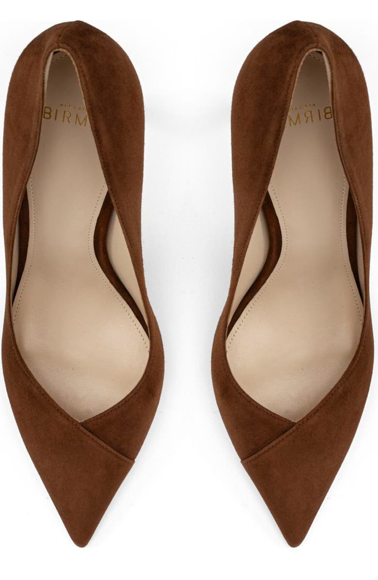 Alexandre Birman Pamela Pointed Toe Pump, Alternate, color,