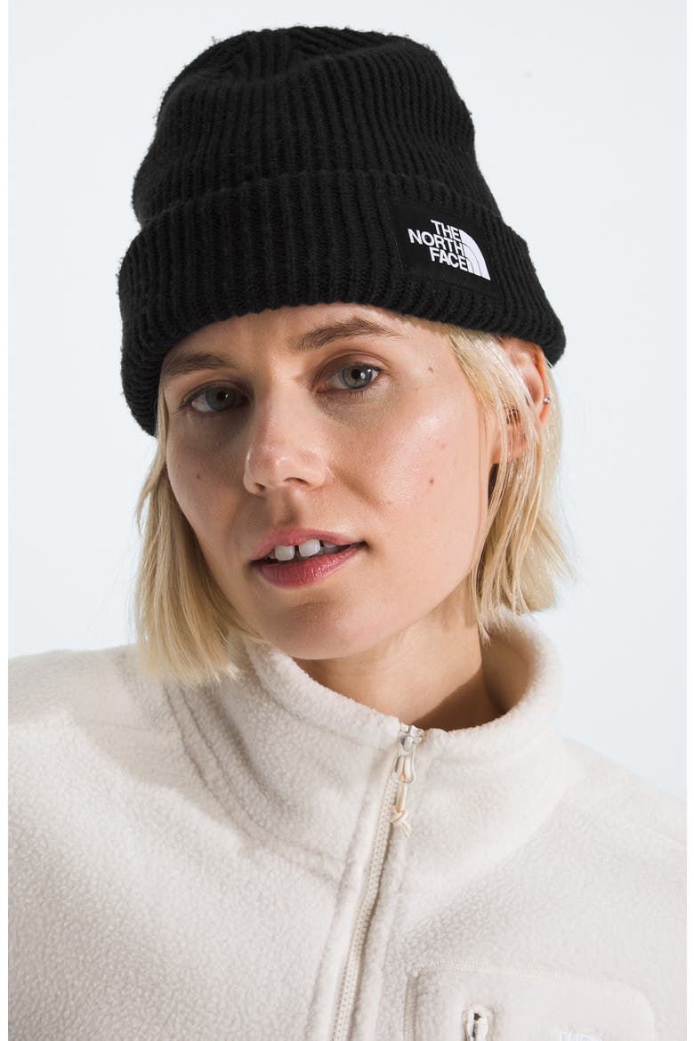 Salty Dog Beanie, Alternate, color, TNF BLACK