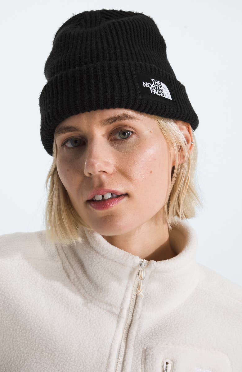The North Face Salty Dog Beanie, Alternate, color, Tnf Black
