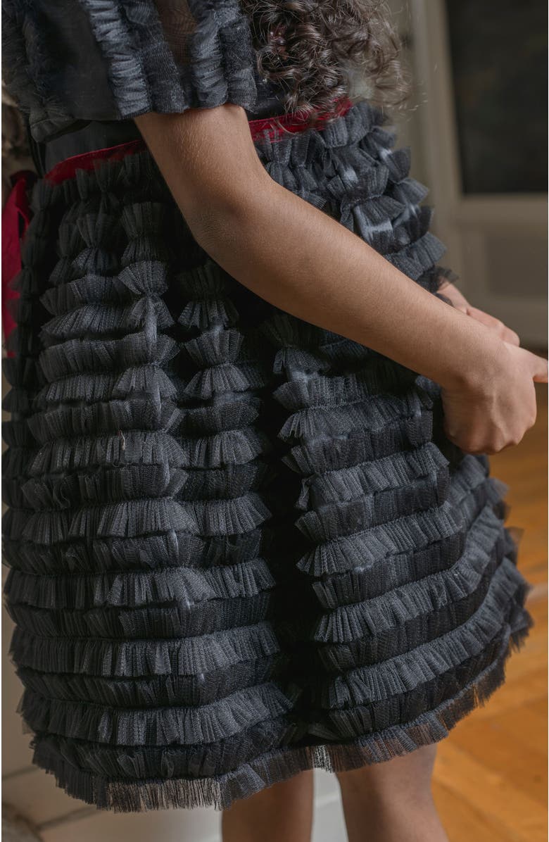 Petite Maison Kids Kylie Tulle and Organza Dress, Alternate, color, Black And Burgundy