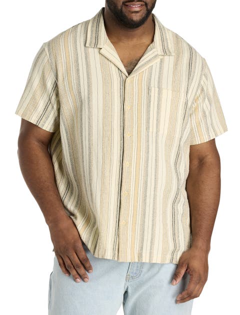 Big & Tall  Striped Sport Shirt