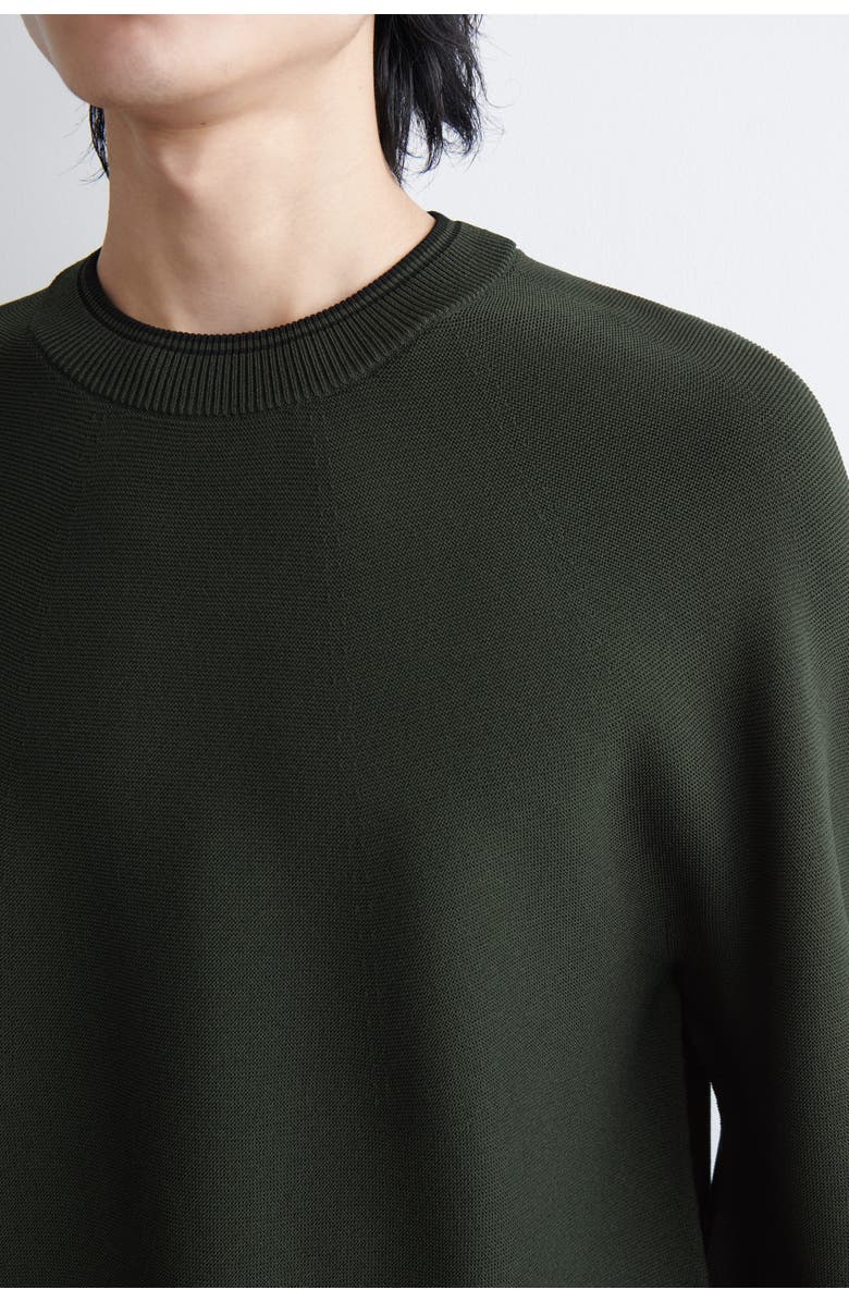 COS Contrast-Tipped Crew-Neck Sweater, Alternate, color, Green / Black