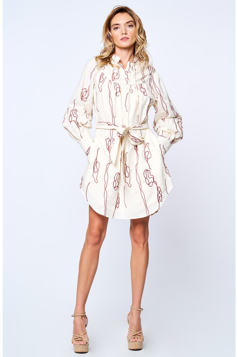 Amelie Embroidered Long Sleeve Shirtdress, Alternate, color, RUST MULTI