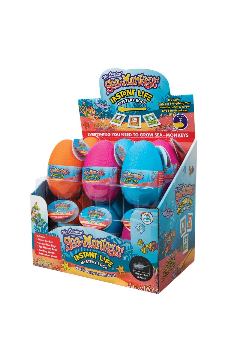 Schylling Seamonkey Mystery Eggs Instant Pet Set, Alternate, color, Multicolored