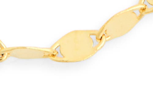 Argento Vivo Disc Chain Necklace In Gold