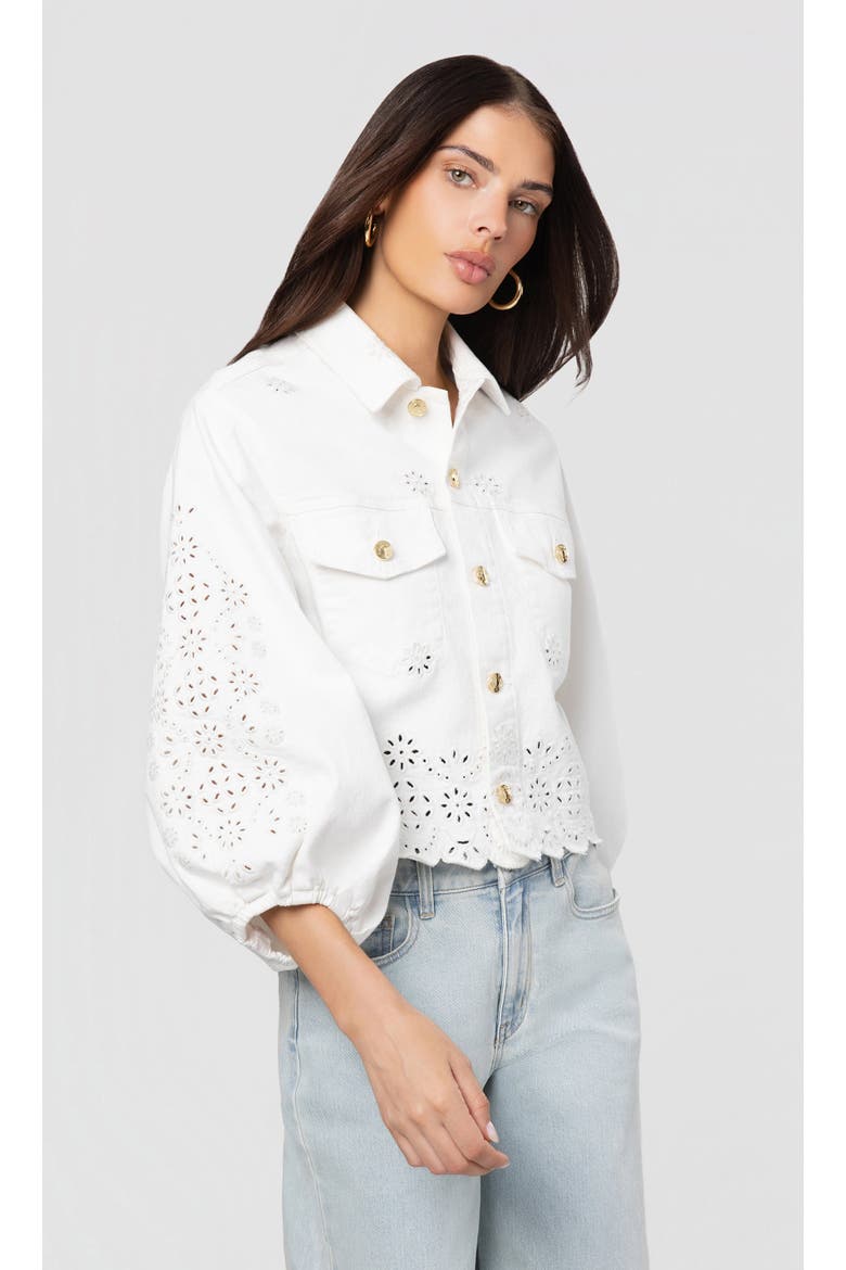 Lumere Embroidered Denim Jacket, Alternate, color, White/Grey Blue