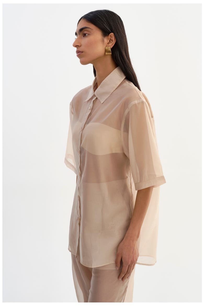 Manda | Sheer Shirt, Alternate, color, Beige