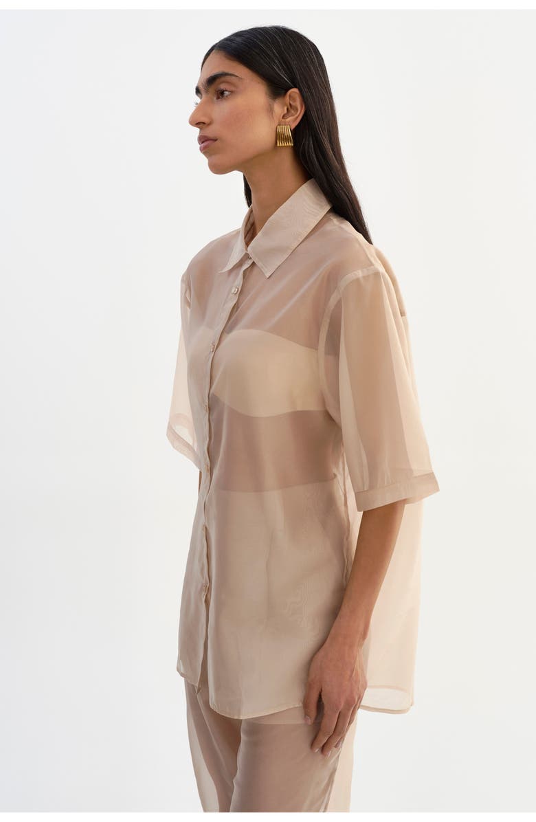 LAMARQUE Manda | Sheer Shirt, Alternate, color, Beige
