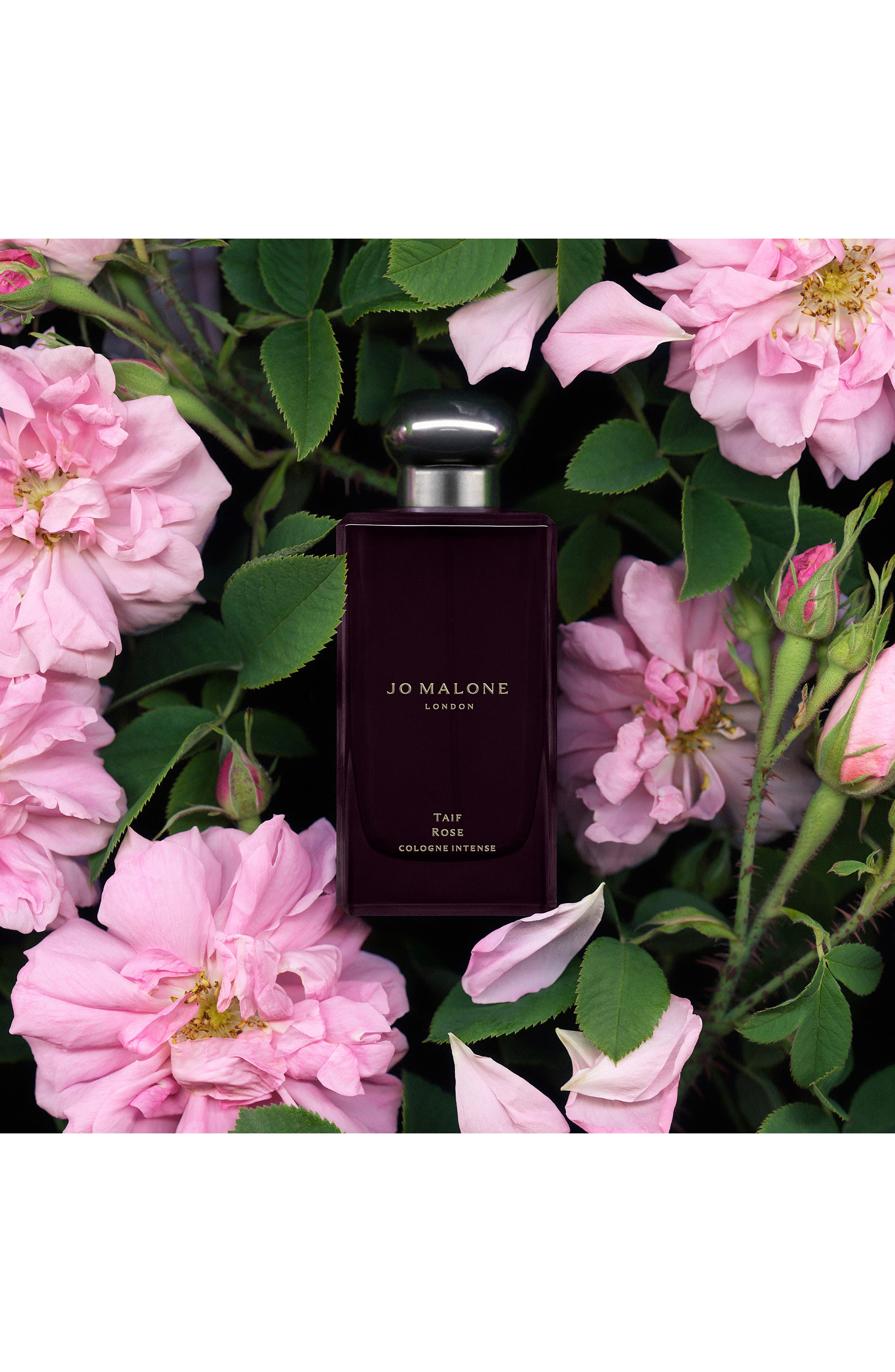 Taif Rose Cologne Intense | Nordstrom