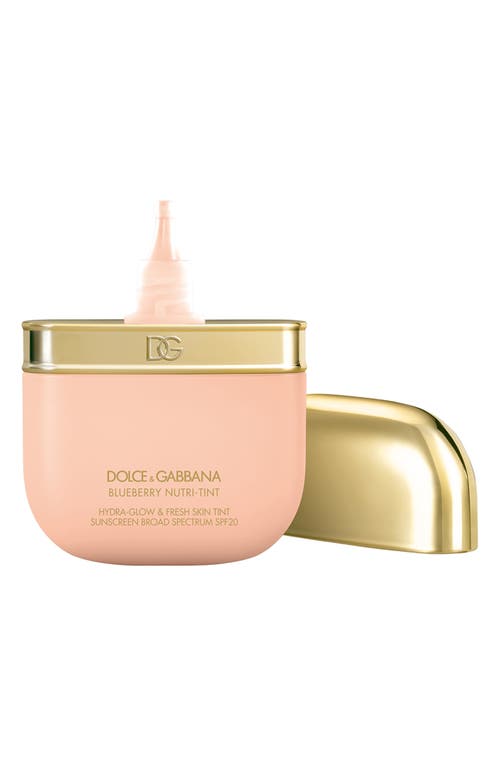 Dolce & Gabbana Dolce&gabbana The Blueberry Nutri-tint Skin Tint