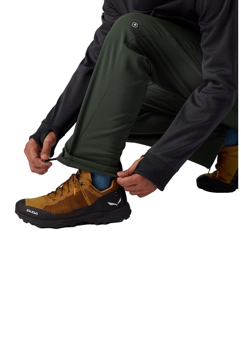 Destination Softshell Fleece Pant - Men's, Alternate, color, Climbing Ivy