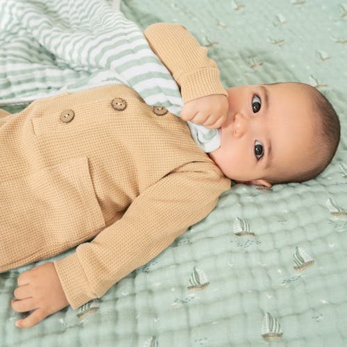 Aden + Anais Organic Dream Blanket In Green