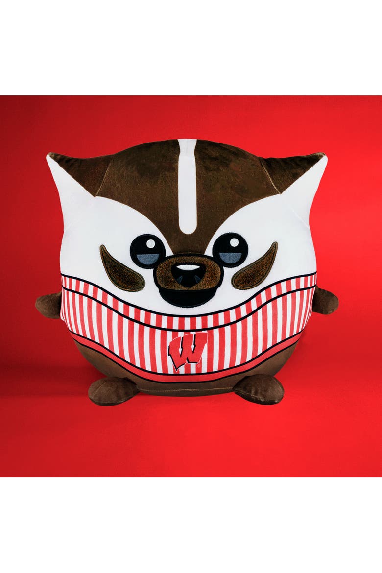 University of Wisconsin Badgers Bucky Badger Kiri Cloud Plushie, Alternate, color, None