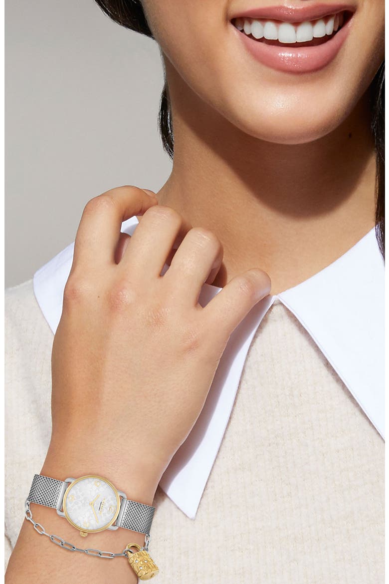 Elliot Mesh Strap Watch & Bracelet Set, 36mm, Alternate, color, SILVER