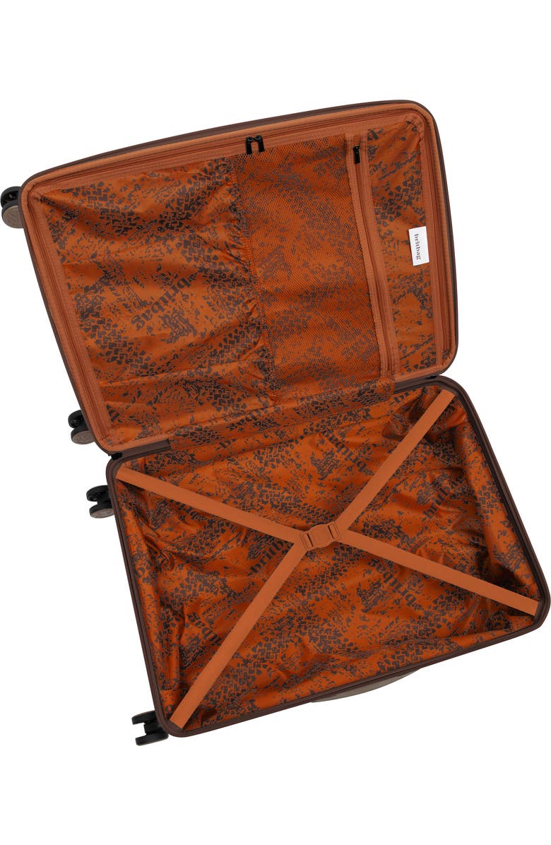 Britbag Stoneleigh 21-Inch Hardside Carry-On Spinner Luggage, Alternate, color, Shaved Chocolate