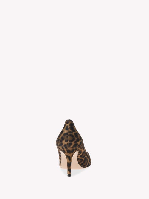 Shop Gianvito Rossi Gianvito 70 Pumps In Brown