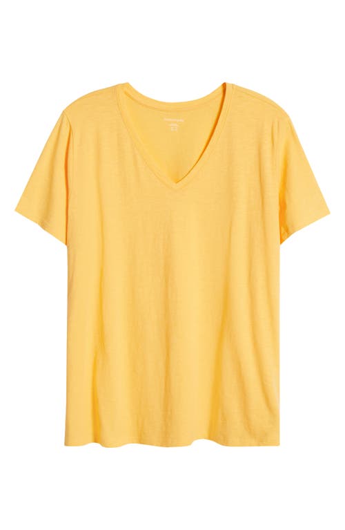 Eileen Fisher Easy V-neck Organic Cotton T-shirt
