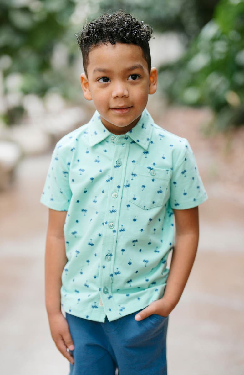 Hope & Henry Kids' Organic Short Sleeve Jersey Knit Shirt, Alternate, color, Tidal Palm Print