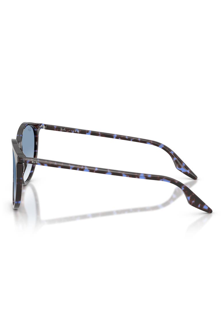 54mm Polarized Gradient Round Sunglasses, Alternate, color, BLUE HAVANA