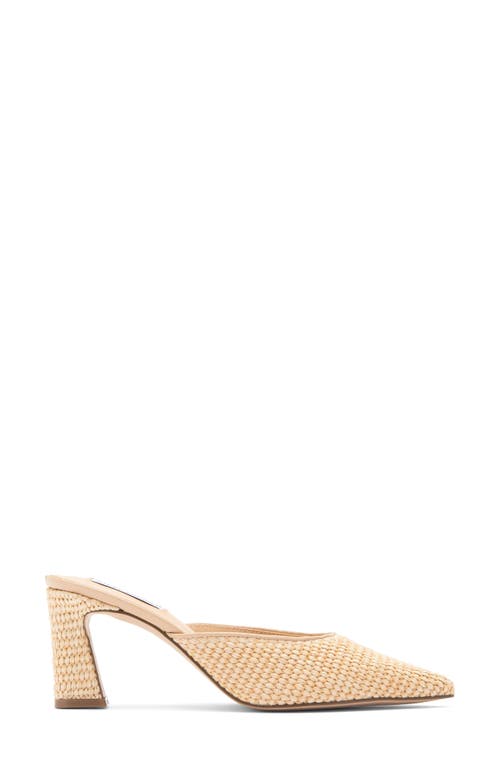 Steve Madden Emmie Pointed Toe Mule In Natural Raffia