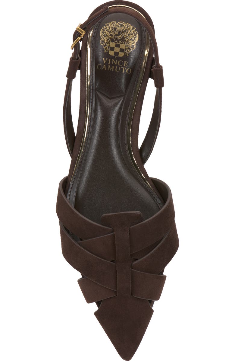 Vince Camuto Vinesha Slingback Pointed Toe Pump, Alternate, color, Brownie