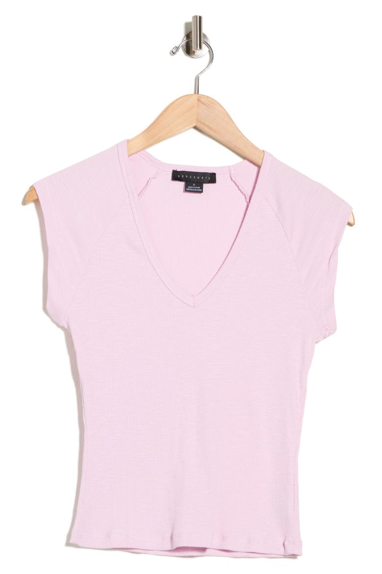 Raglan Sleeve V-Neck Top, Alternate, color, LILAC PURPLE