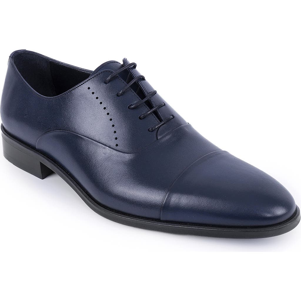 Vellapais Dinero Perforated Oxford In Navy Blue