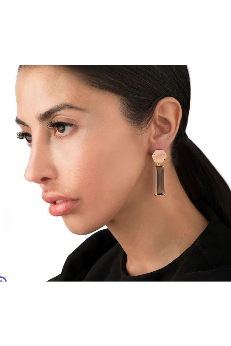 Chicago Interchangeable Drop Earrings, Alternate, color, Brown & Pink