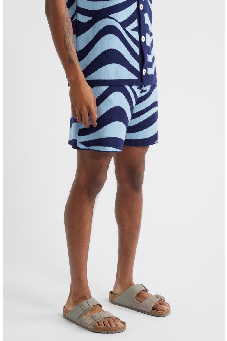 Wave Knit Shorts, Alternate, color, BLUE
