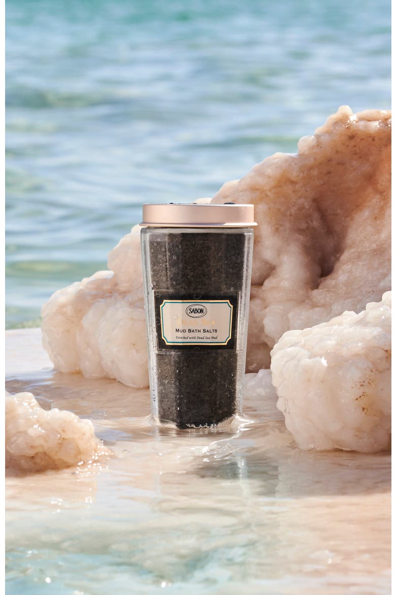 Mud Bath Salts 300g, Alternate, color, Dead Sea Mud