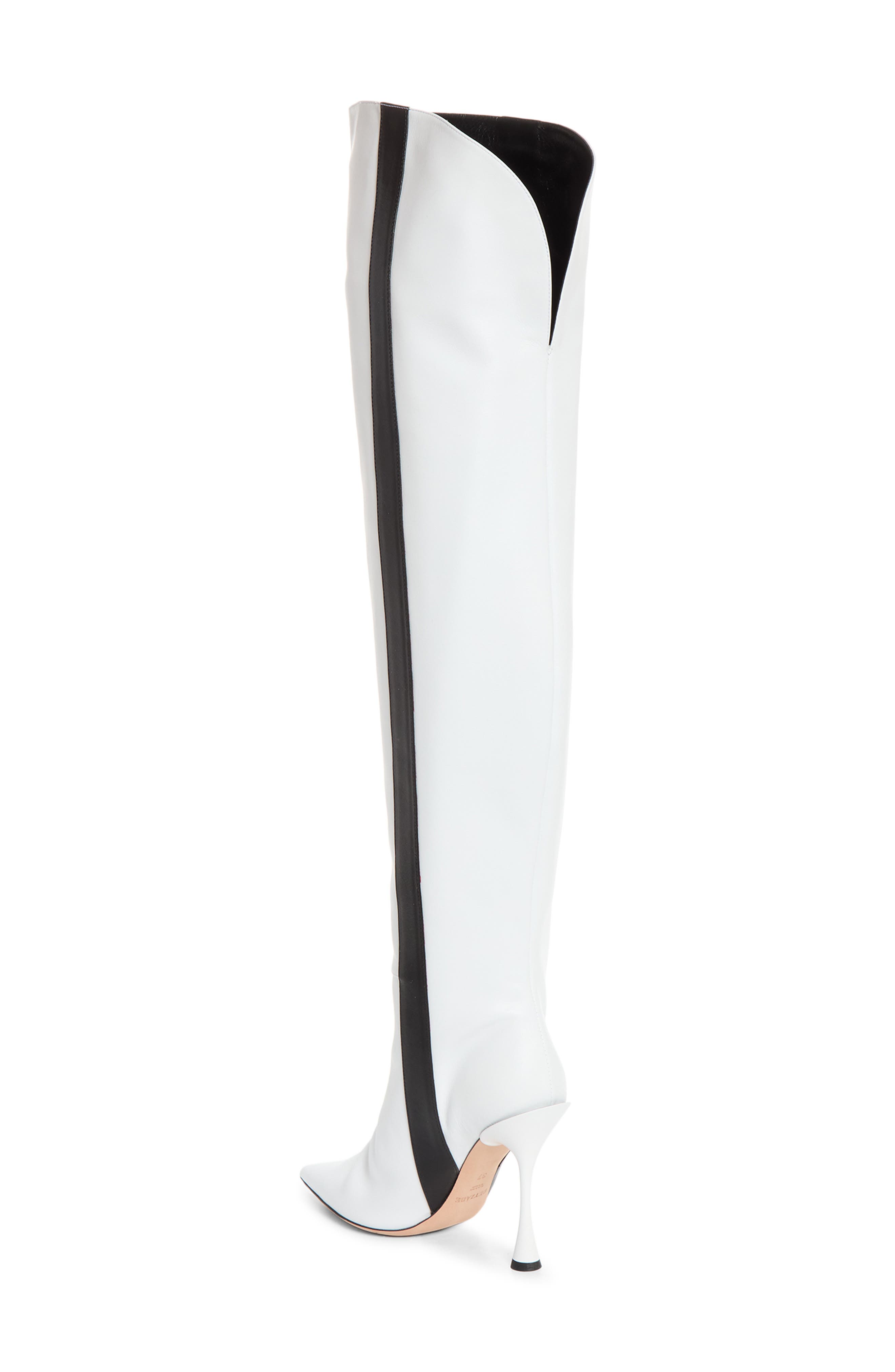 Bree Pointed Toe Thigh High Boot, Alternate, color, WHITE CALF