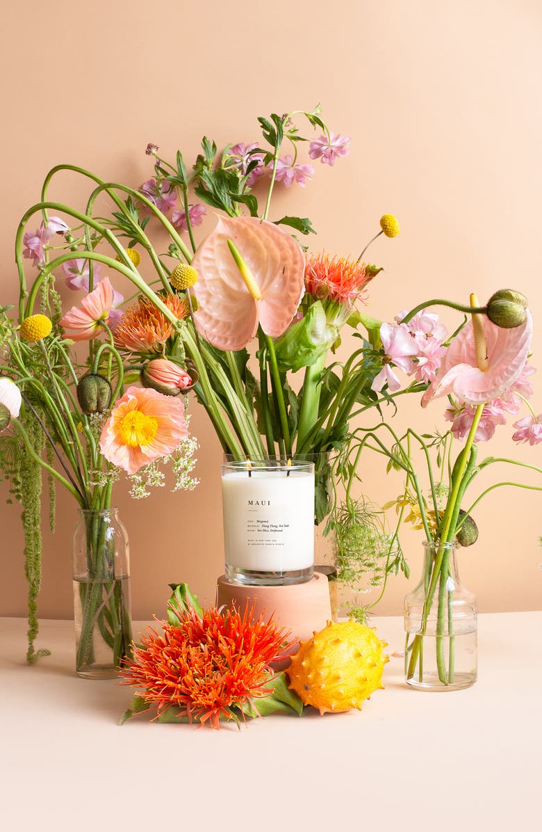 BROOKLYN CANDLE STUDIO Maui Classic 2-Wick Candle, Alternate, color, Maui