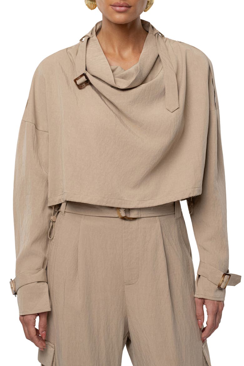 Wanderlust Long Sleeve Crop Top, Alternate, color, BEIGE