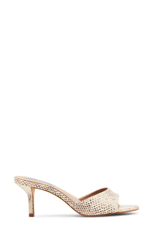 Steve Madden Kendrix Sandal In Neutral