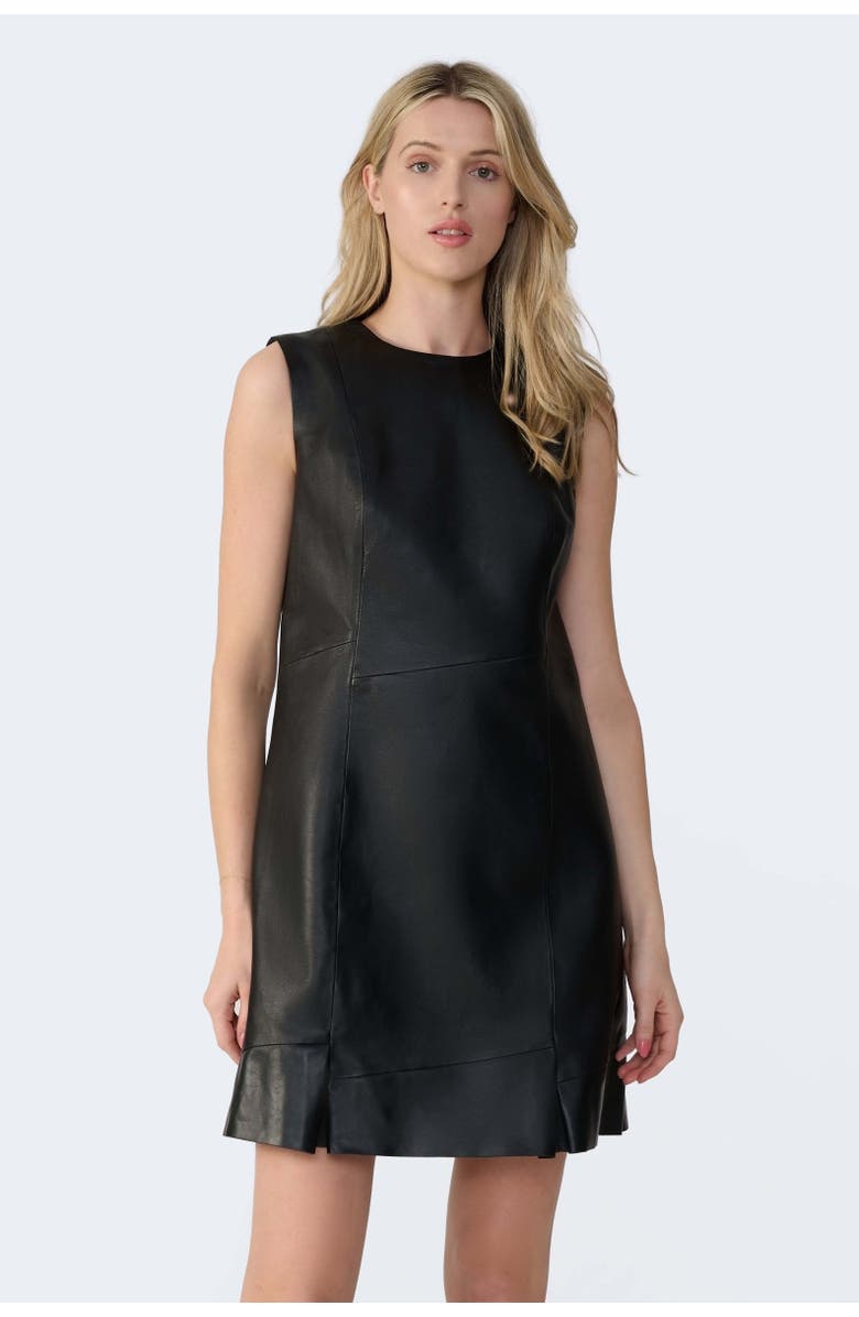 FURNIQ UK Selene Leather Dress, Main, color, Black