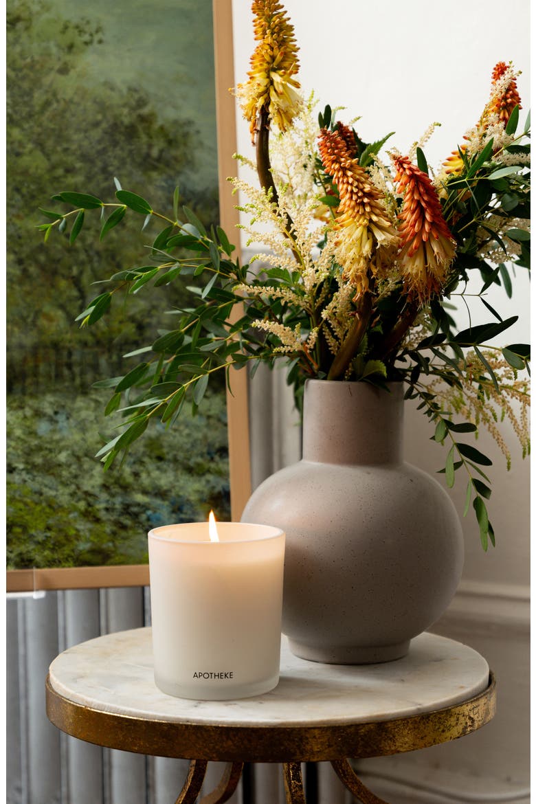 Sea Salt Grapefruit & White Vetiver Scented Candle Set (Nordstrom Exclusive) USD $88 Value, Alternate, color, WHITE